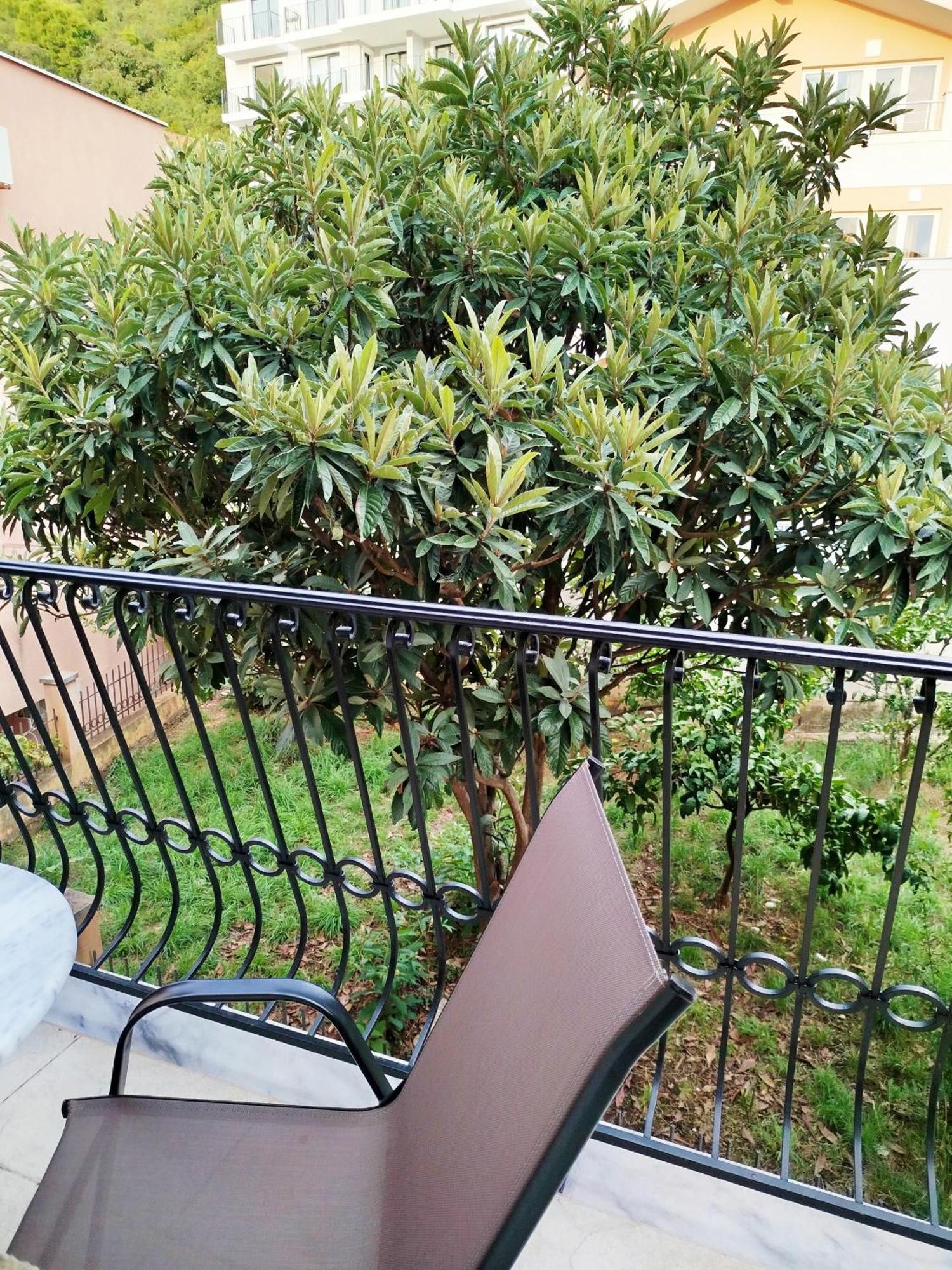 Mijovic Apartments Budva Zewnętrze zdjęcie